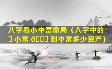八字看小中富命局（八字中的 ☘ 小富 🍀 到中富多少资产）
